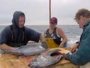 Click to Enter 'Fishing 021' Page